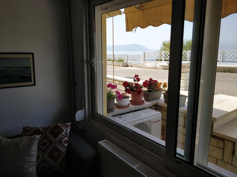 Ionian Blue Studio Превеза Экстерьер фото